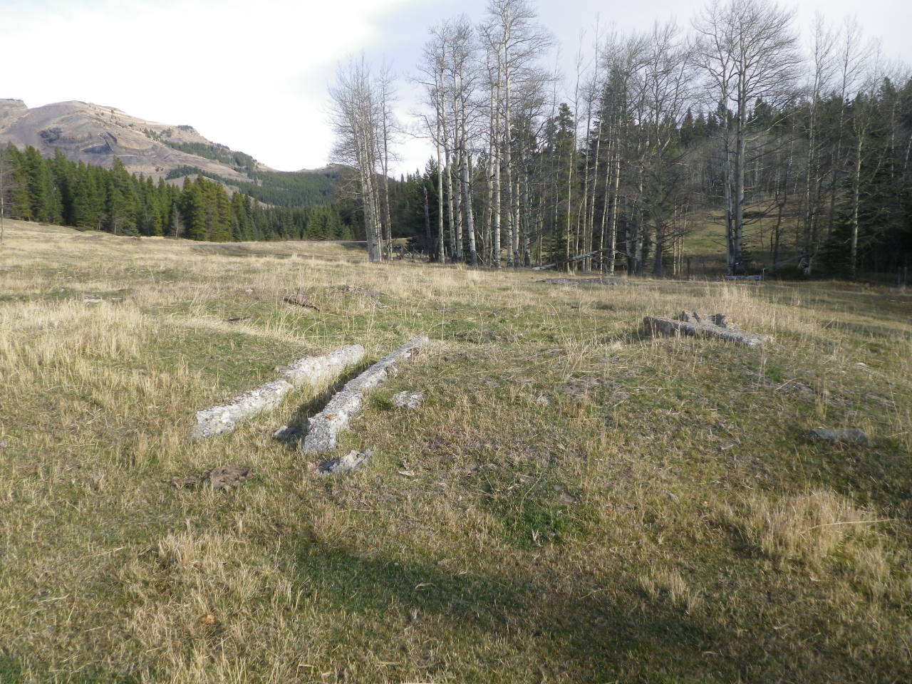 Historical feature on Grassy Mountain