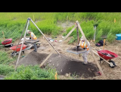 Archeologists Peer Into Cochrane’s Past