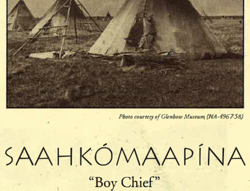 “Boy Chief” Archaeological Dig – 1994