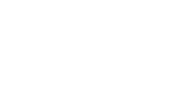 Bison logo